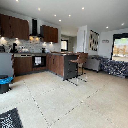 Studio Loft Du Lac Avec Terrasse Avec Vue Sur Le Lac Et La Motte Apartment Vaivre-et-Montoille Exterior foto